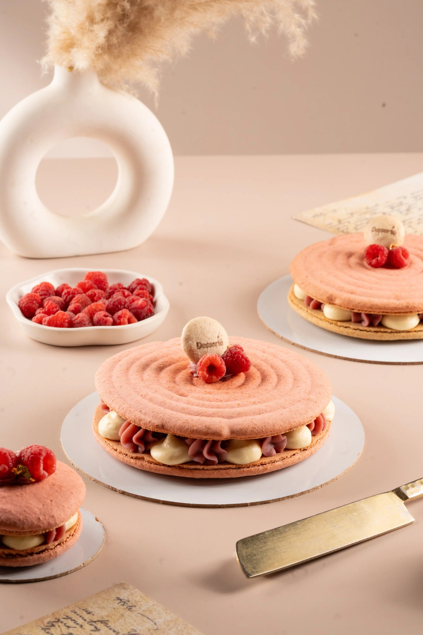 Raspberry Cheese Macaron cake